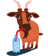 Goats and Soda
